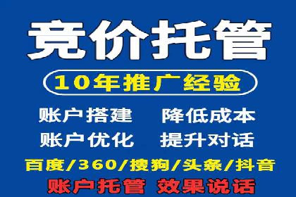 竞价托管成功案例：提升广告投放效果